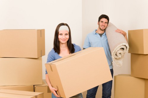 Risk assessment planning for a Twickenham house move